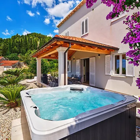 Villa Hedera Estate House Hedera Iii Orasac